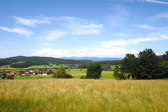 Sommeruralub im Bayerischen Wald